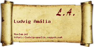 Ludvig Amália névjegykártya